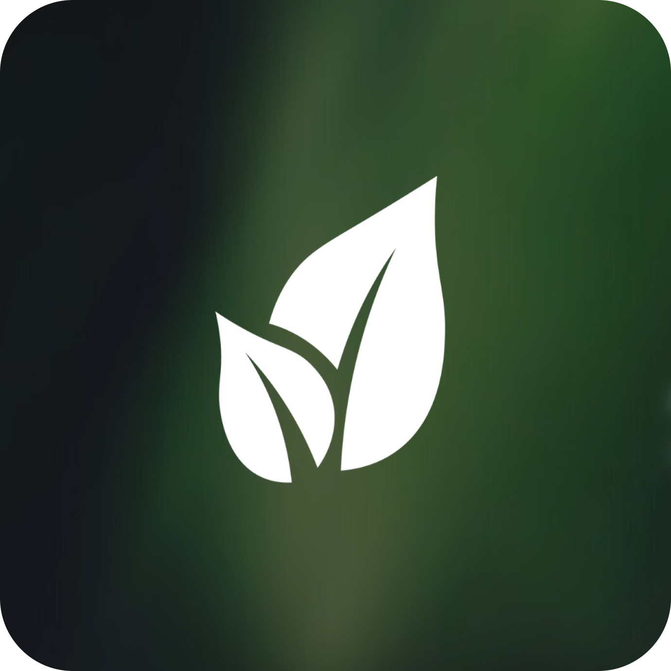 Объединенный совет обучающихся ГАУ Северного Зауралья