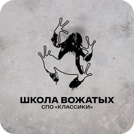 Школа вожатского мастерства СПО «Классики»