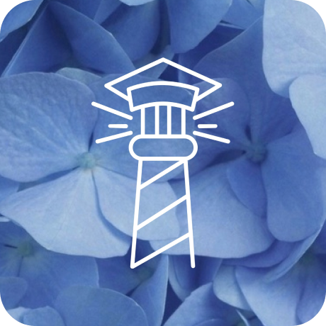 Студенческое кураторство в ЛЭТИ