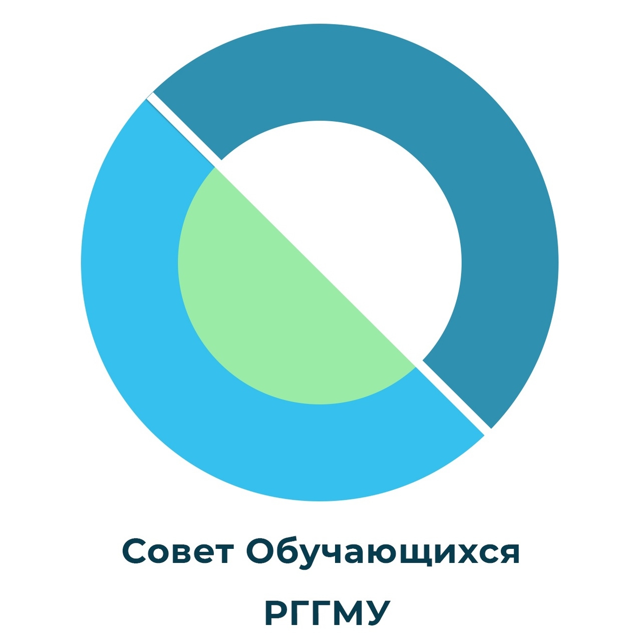 Совет Обучающихся РГГМУ