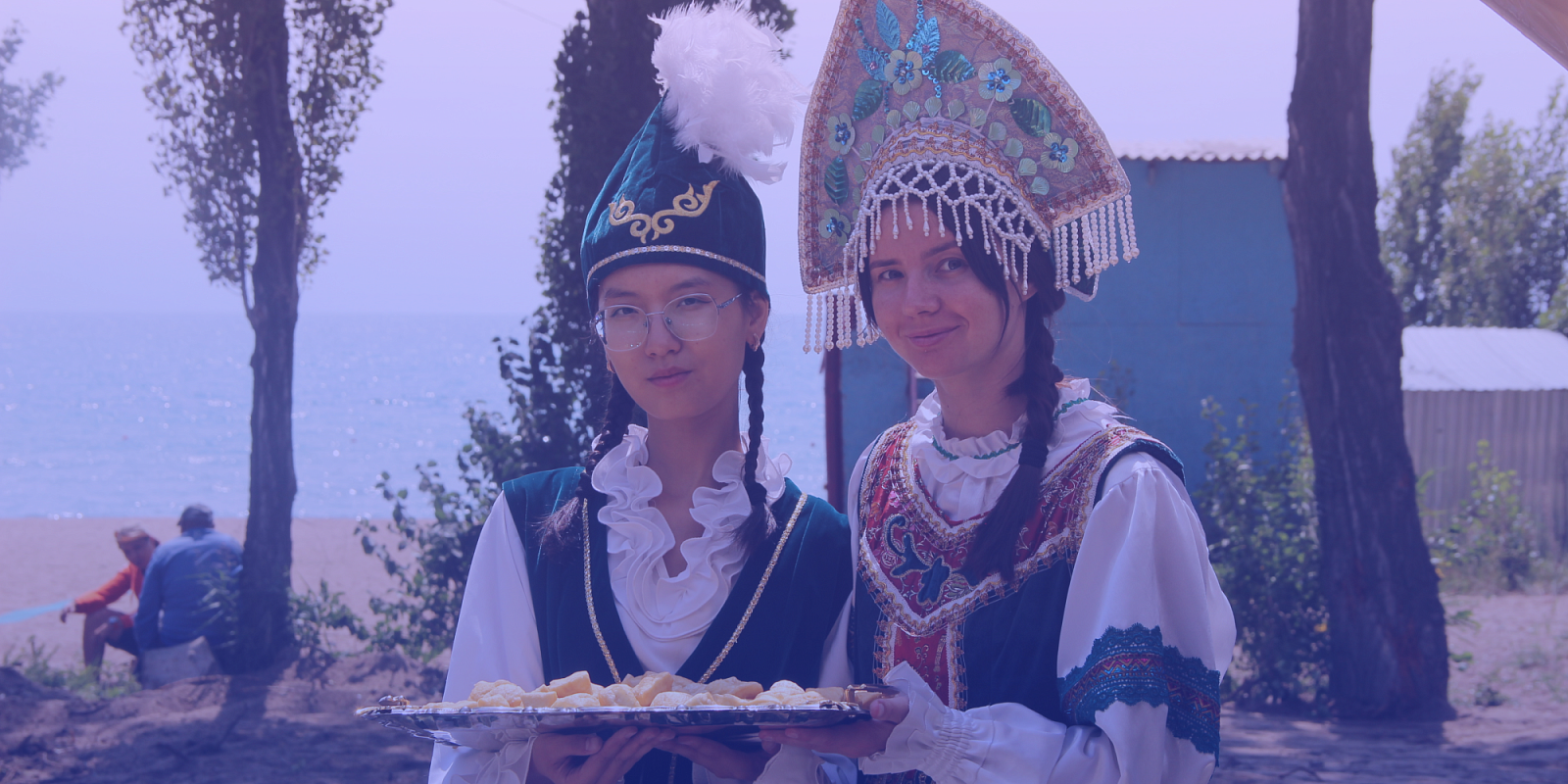 Описание изображения