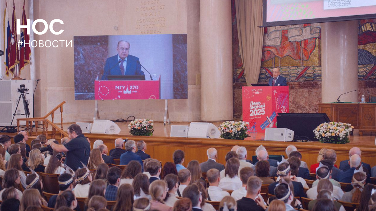 Описание изображения