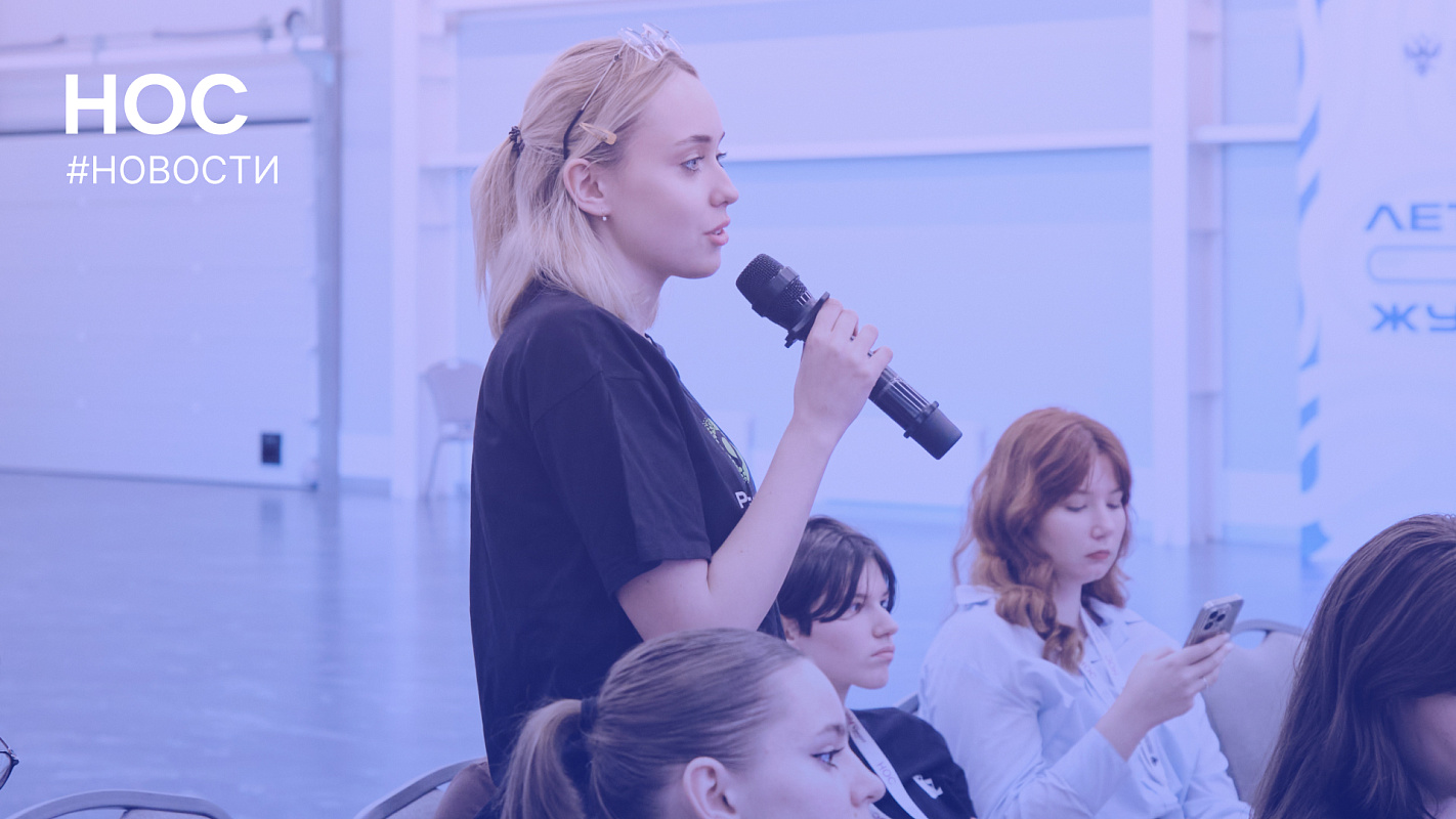 Описание изображения