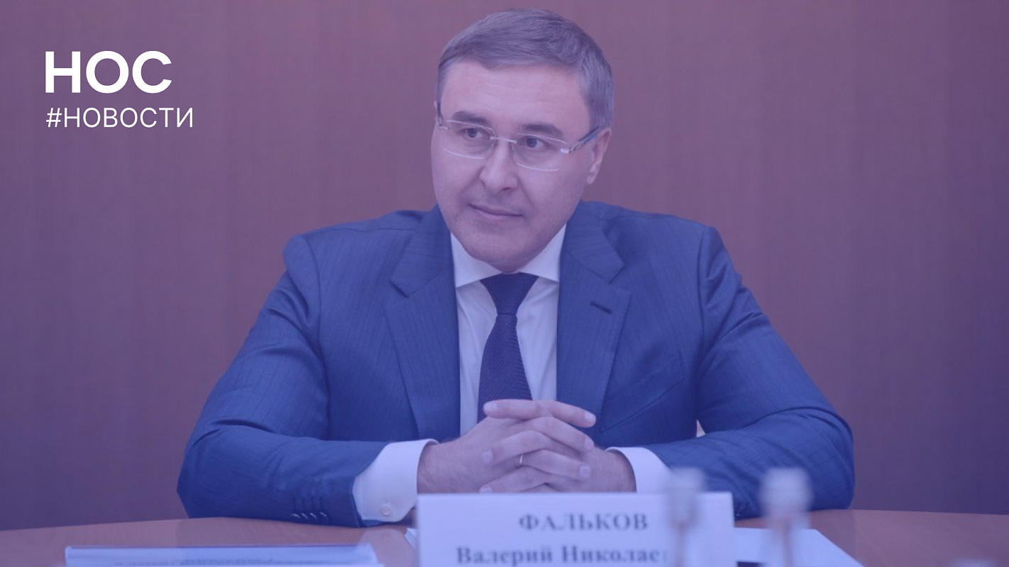 Описание изображения