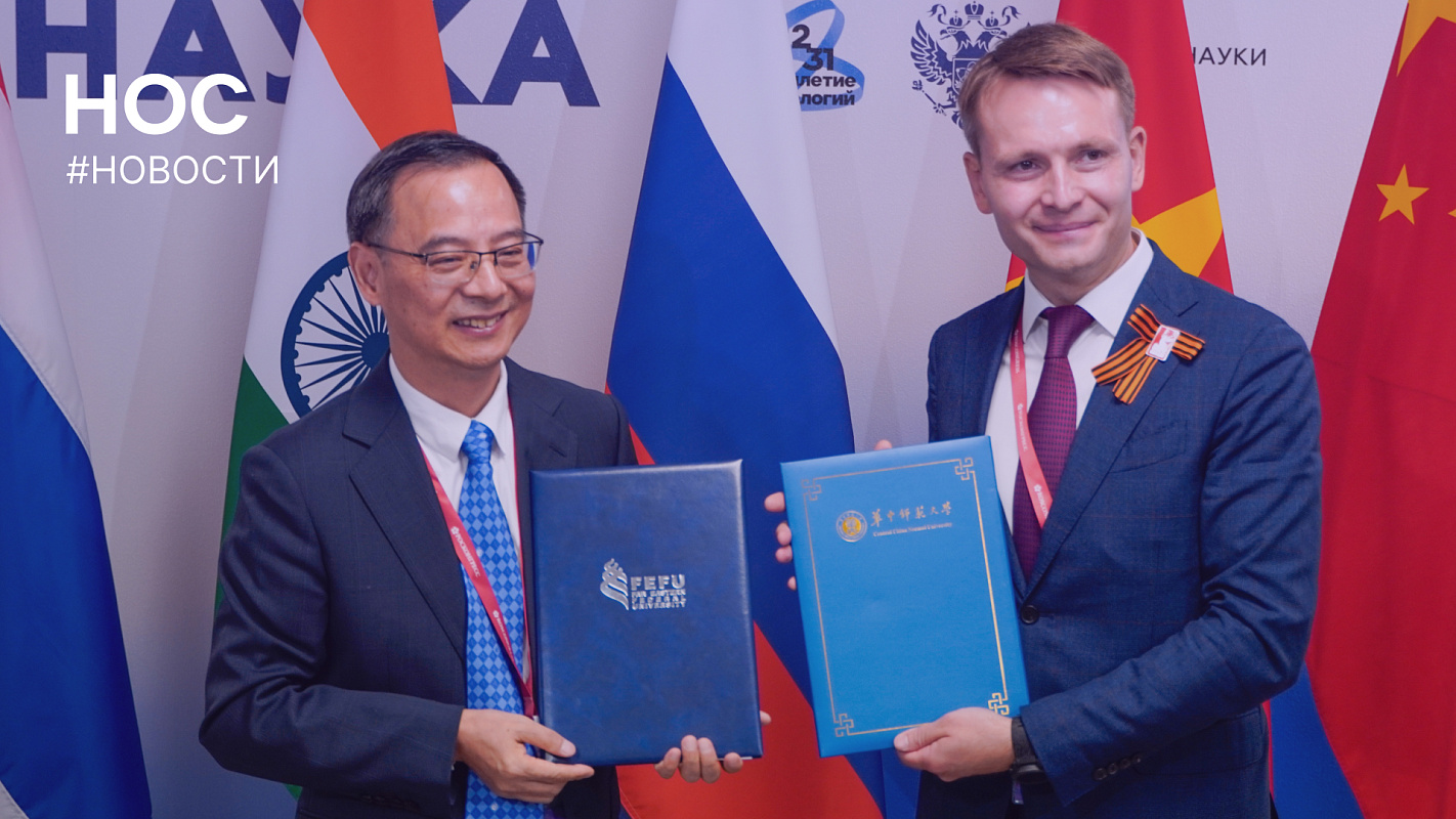 Описание изображения