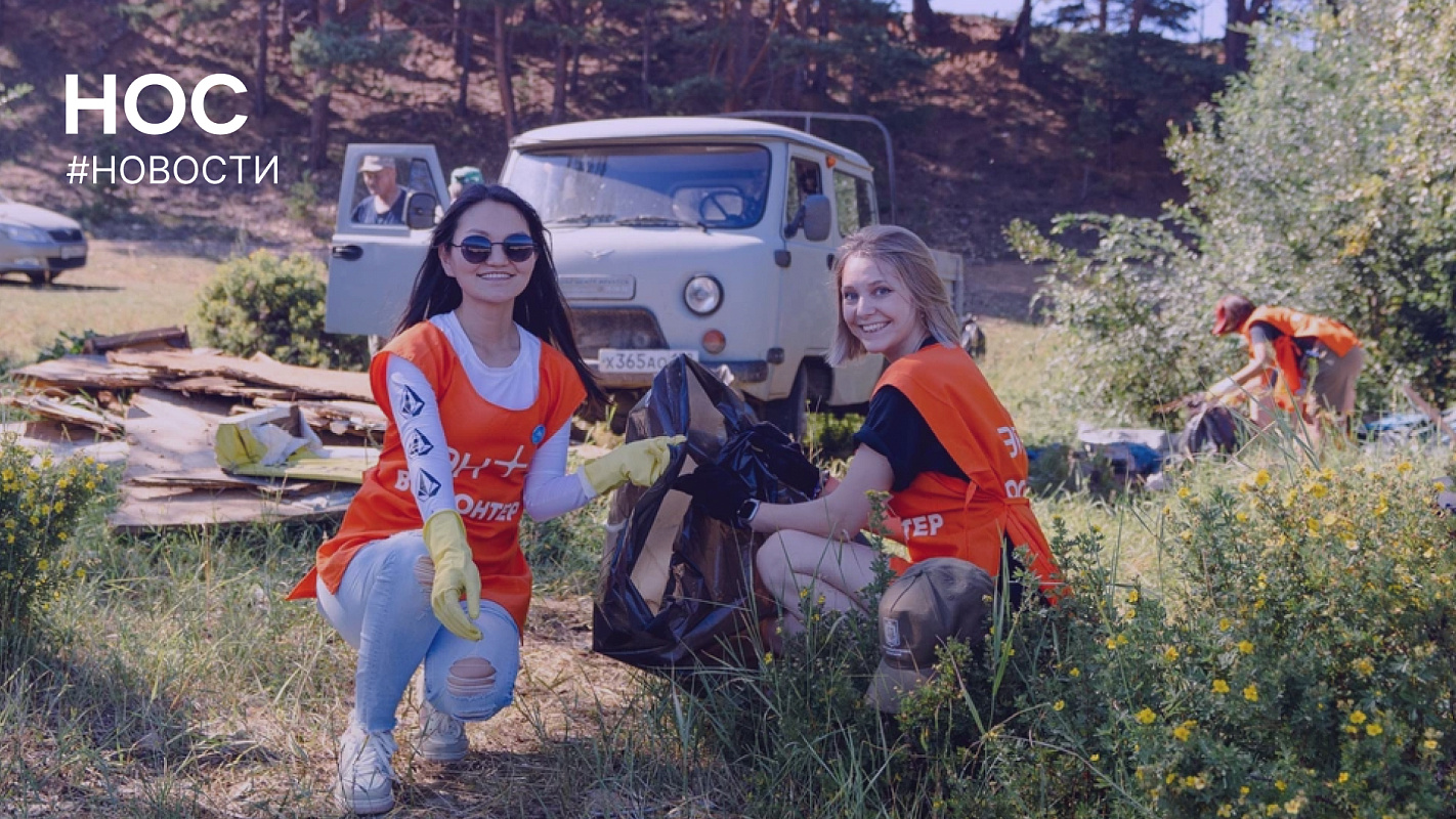 Описание изображения